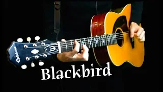 Blackbird - Instrumental Cover - Acoustic Guitar