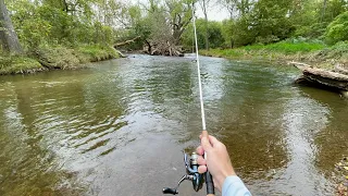 TROUT FISHING For A Living?! (I QUIT MY JOB)