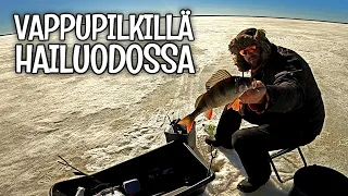 VAPPUPILKILLÄ HAILUODOSSA OJAKYLÄNLAHELLA