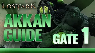 AKKAN Legion Raid - GATE 1 Detailed Guide