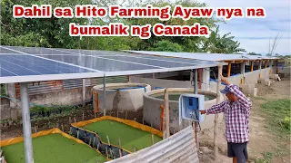 Dating OFW Nagsimula ng mag Forgood dahil sa Hito Farming