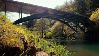 Washington Cliff Jumping | Kalama River