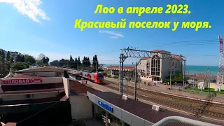 Лоо в апреле 2023. Чудесный поселок у моря.🌴ЛАЗАРЕВСКОЕ СЕГОДНЯ🌴СОЧИ.