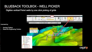 Blueback Toolbox | Well Picker