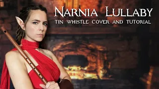 A Narnia Lullaby - Dual Flute Cover & Tin Whistle Tabs Tutorial