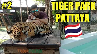 Playing with Tigers l Tiger Park Pattaya |Amazing Experience [Day 2]