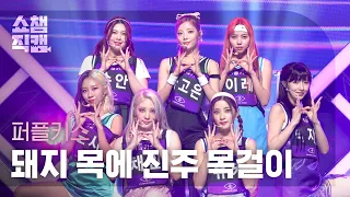 [쇼챔직캠 4K] PURPLE KISS - Cast pearls before swine (퍼플키스 - 돼지 목에 진주 목걸이) | Show Champion |  l EP.411