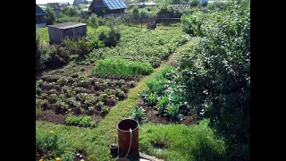 русская дача russian garden