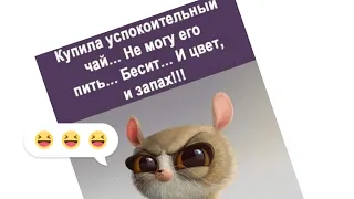 Купила успокоительное чай... Не могу его пить... Бесит и цвет... и запах.... 🤔😀 #юмор #анекдоты