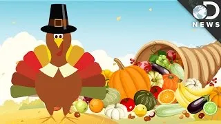 How Much Do Americans Consume On Thanksgiving?