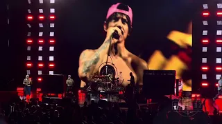 Red Hot Chili Peppers - Give It Away | Live | The Venue | Lincoln Ca 2/17/24