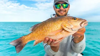 Catching BIG Snapper Offshore Bottom Fishing (Surprise Catch)