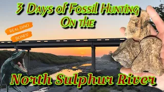3 Days Fossil Hunting The North Sulphur River - Finding REAL Mosasaurus Bones!