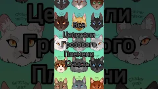 Все целители грозового племени эдит коты-воители #warriorcats #warriors #котывоители #коты #эдит