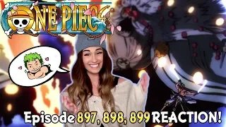 ZORO...MAN I CAN'T TAKE IT! (づ￣ ³￣)づ ❤️One Piece Episode 897, 898, 899 REACTION!