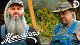 Mimosa Moonshine?! Mike's New Experimental Recipe! | Moonshiners