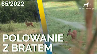 SUDECKA OSTOJA 65/2022 Hunting Roe Deer in Poland | Looking for Signs of the Rutting Season