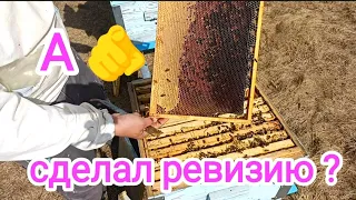 Весенний осмотр пчёл! Пчеловодство!