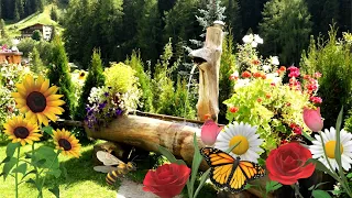 🌺Прекрасные идеи для ландшафтного дизайна и украшения сада / Garden design and decoration ideas