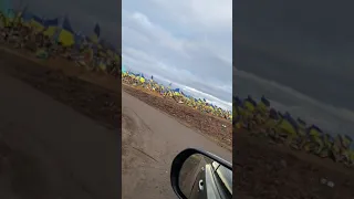 Кладбище украинских военных солдат 🇺🇦😭