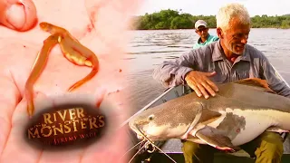 Jeremy Finds Parasitic Bloodsucker Inside Mouth Of Catfish | CATFISH | River Monsters