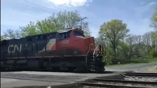 Canadian national manifest train northbound (5/5/2024)