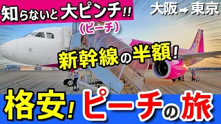格安【大阪→東京】ピーチ航空の飛行機に乗ったら新幹線よりスゴかったｗ