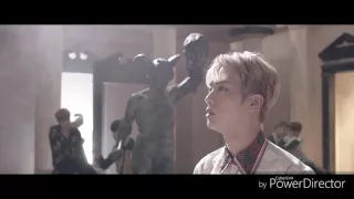 BTS- Blood Sweat & Tears MV Jin Cut
