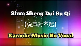 Shuo Sheng Dui Bu Qi【说声对不起】karaoke no vocal