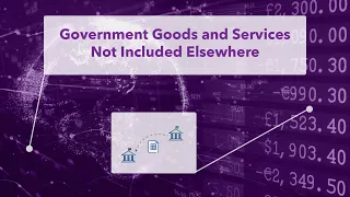 Government Goods and Services Not Included Elsewhere