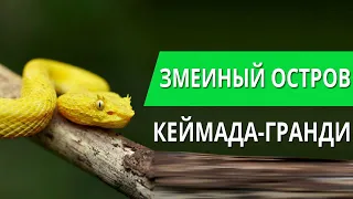 ТУТ ЖИВЕТ СМЕРТЬ // ЗМЕИНЫЙ ОСТРОВ КЕЙМАДА-ГРАНДИ // Я Короче Узнал