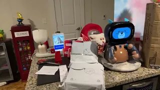 Jibo & Friends - Mystery Unboxing Livestream (Tiny Dancer)