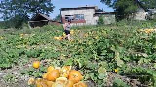 Скільки сьогодні напрацювали?