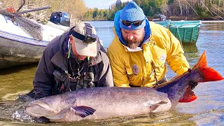 Tugur River taimen trip 2021. Includes footage of world record taimen 🇷🇺 Река Тугур. Поездка 2021г