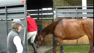 New study to explore horse transportation