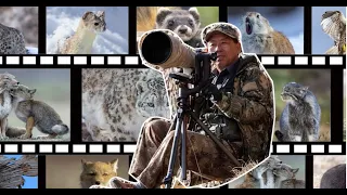 Homegrown photographer shares stories behind wildlife moment