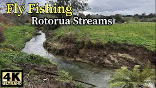 Fly Fishing - Rotorua Streams in 4K