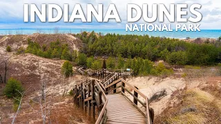 24 Hours In Indiana Dunes National Park (Hiking, Dunes, Historic Homes & the Chicago Skyline)
