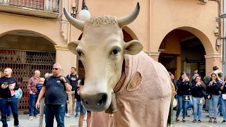 11è CORREBOUS - Sis BOUS Sis - Cercavila fins a la plaça de l'Oli - Fira de Santa Úrsula