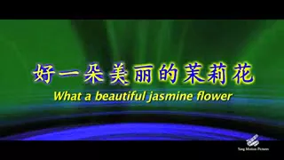 Jasmine Flower (Mo Li Hua)
