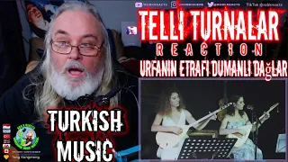 Telli Turnalar Reaction - Urfanın Etrafı Dumanlı Dağlar - First Time Hearing - Requested