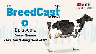 The BreedCast: S1 Episode 2 - Sexed semen