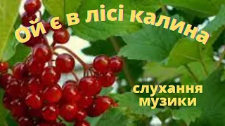 Ой є в лісі калина/ українська народна пісня