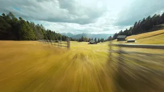 Flying through golden fields - Cinematic FPV