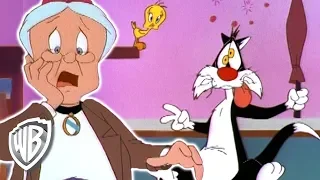 Looney Tunes en Latino | La impostora de la Abuelita | WB Kids