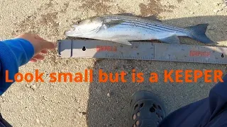 Fishing Striper bass at the lake and the California Aqueduct/at least it wasn’t cold