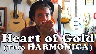 Heart of Gold (Neil Young) - Tuto Harmonica Facile