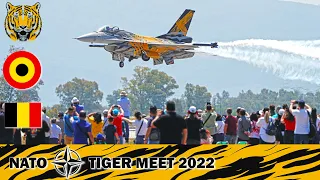 NATO Tiger Meet 2022: Belgian Air Force & X-Tiger Demo