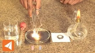 Magnesium Oxide and water| Acids & Bases | Chemistry