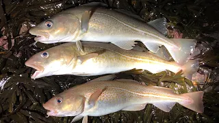 Winter Cod Fishing - Shore fishing on North East Coast | The Fish Locker